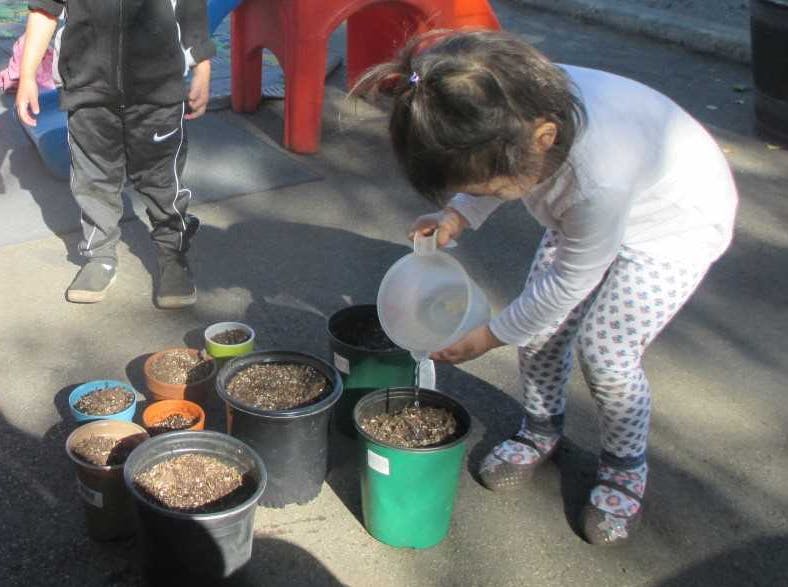 Child watering plants in pots