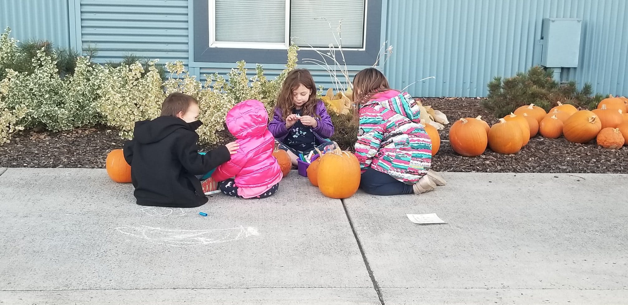 Four children sitting on the ground with pumpkins