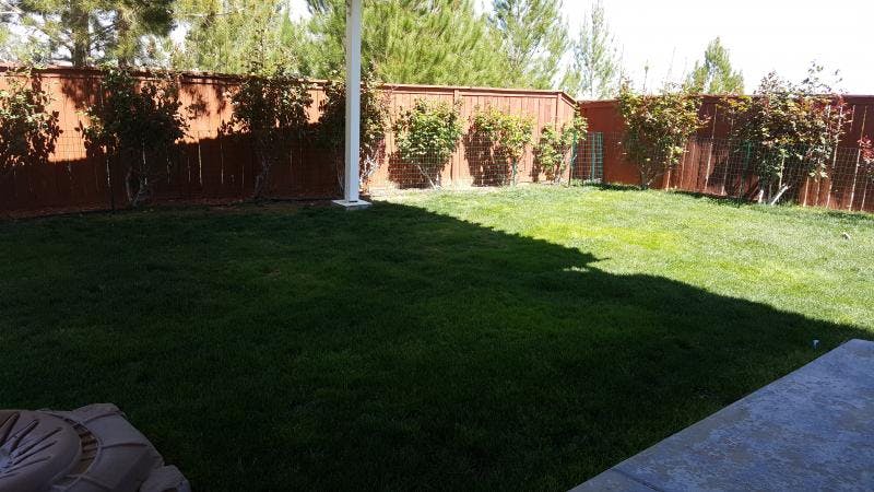 Letty's Child Care in Palmdale, CA