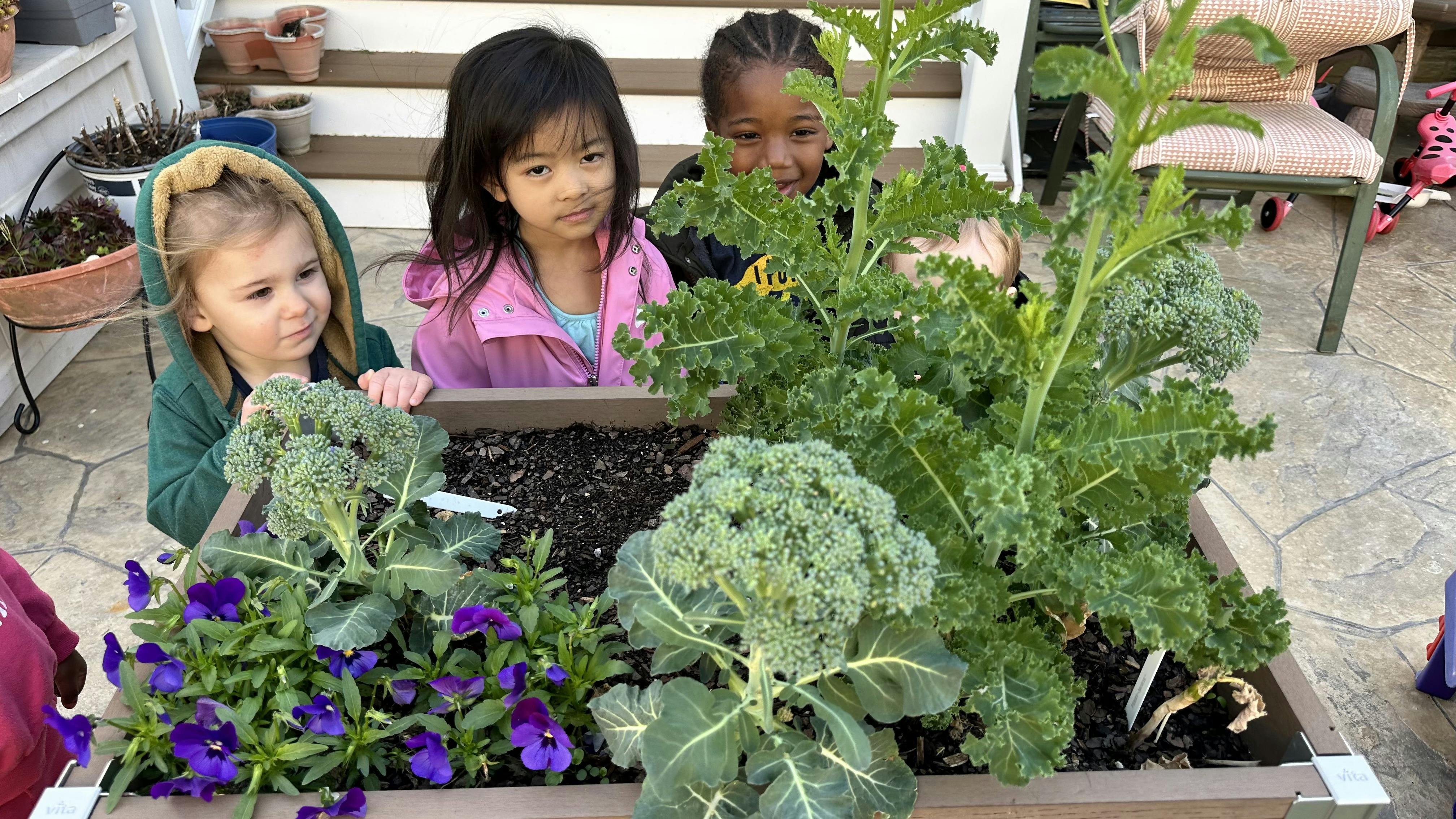 Three children looking at plants in a raised garden bed