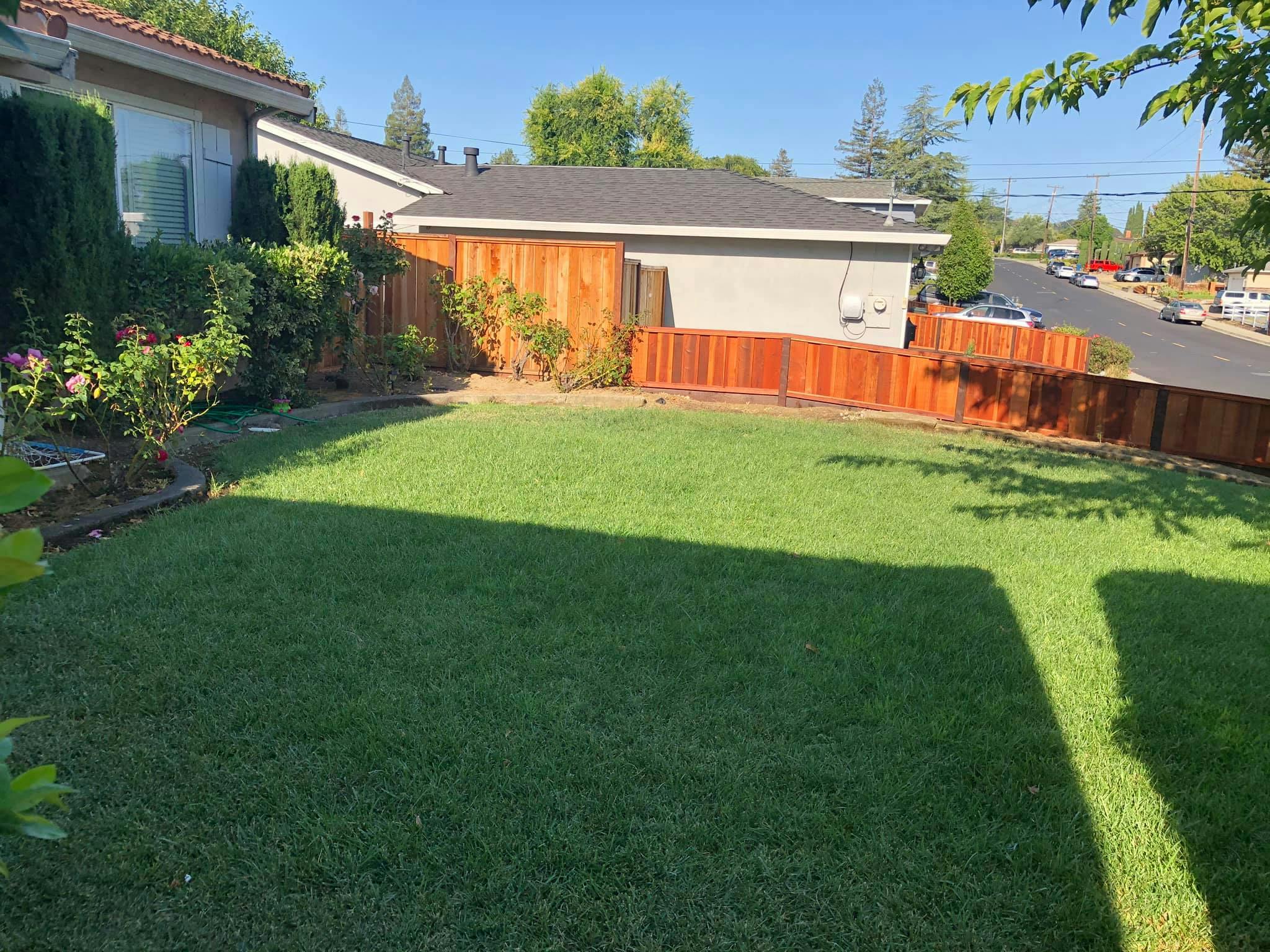 Green lawn with a wooden fence and houses in the background
