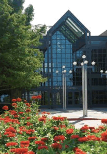 Modern building with glass facade behind red flowers and a tree