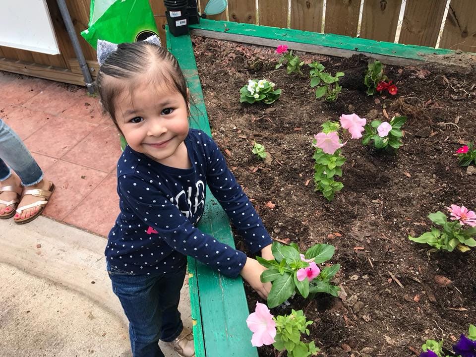 Child planting flowers in a garden bed