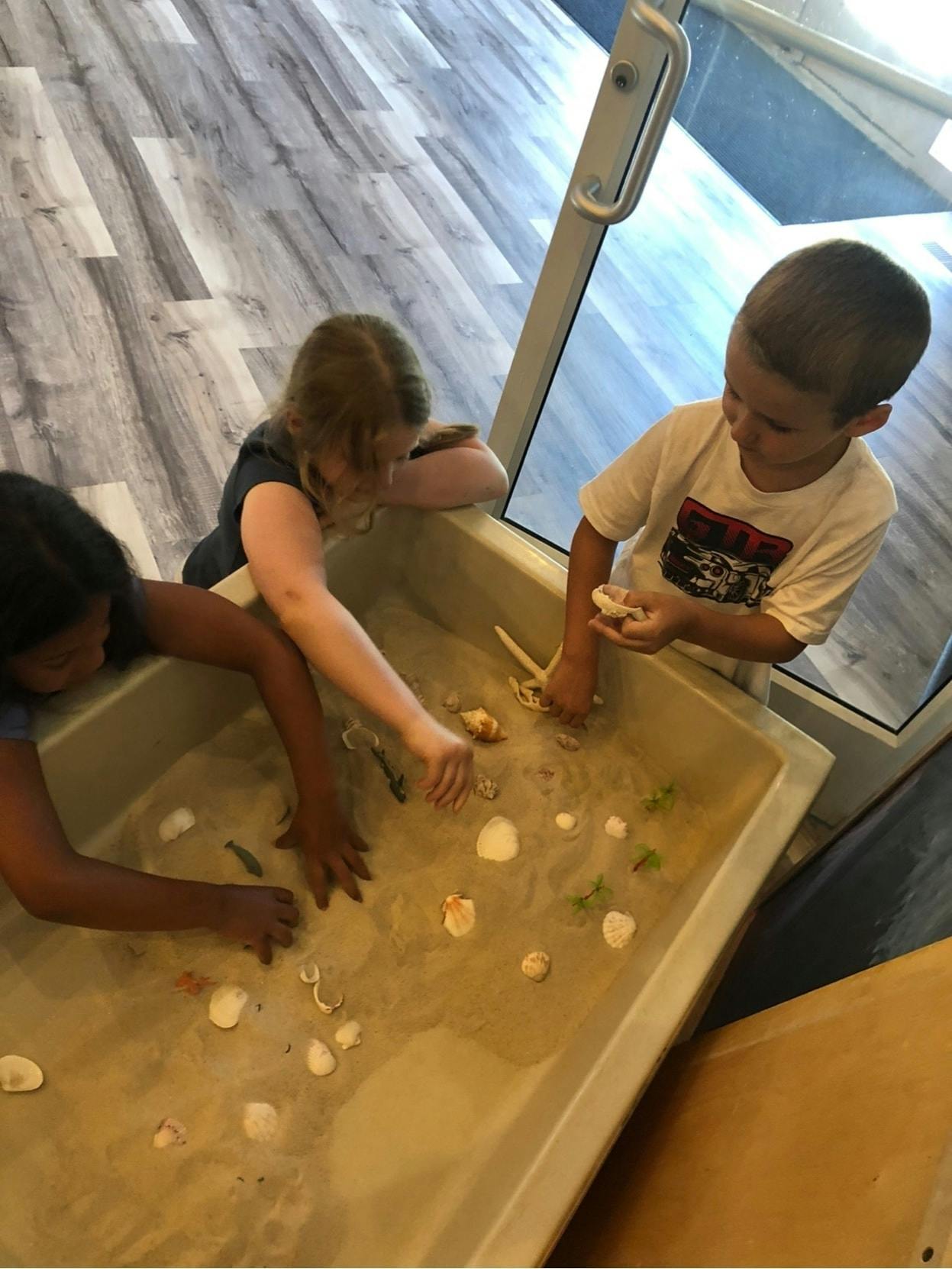 Three children playing with shells in a water table