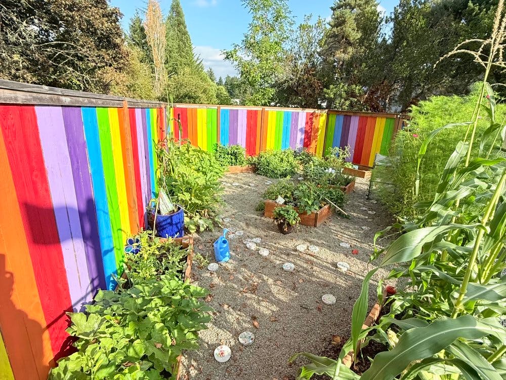 Garden with a rainbow-colored wooden fence