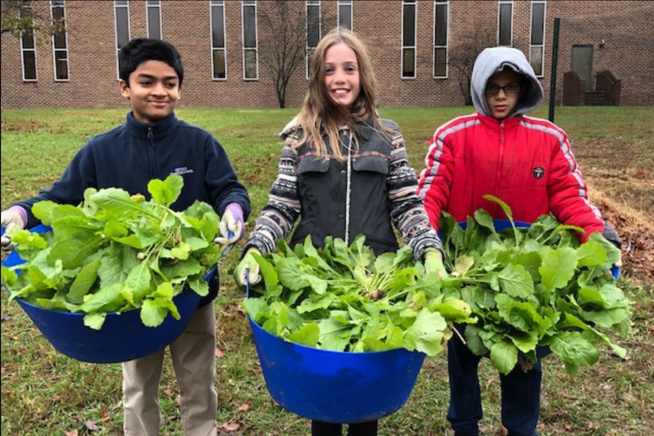 Three children holding blue tubs filled with green leafy vegetables