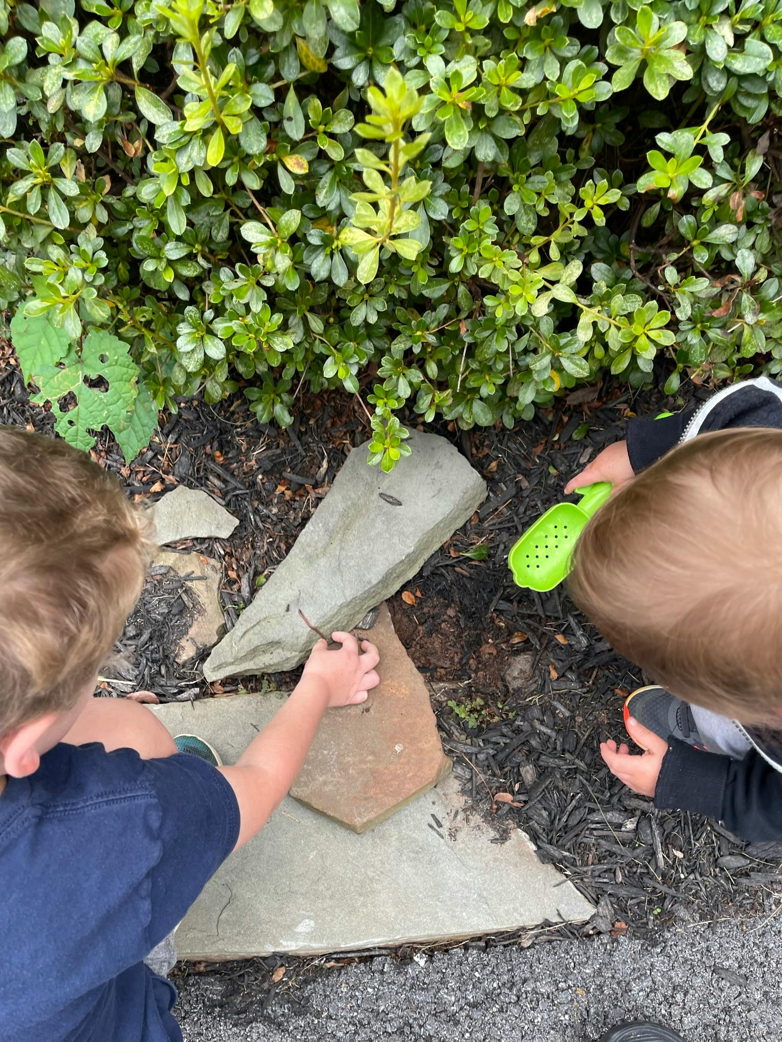 Two children playing with rocks and a green scoop near a bush