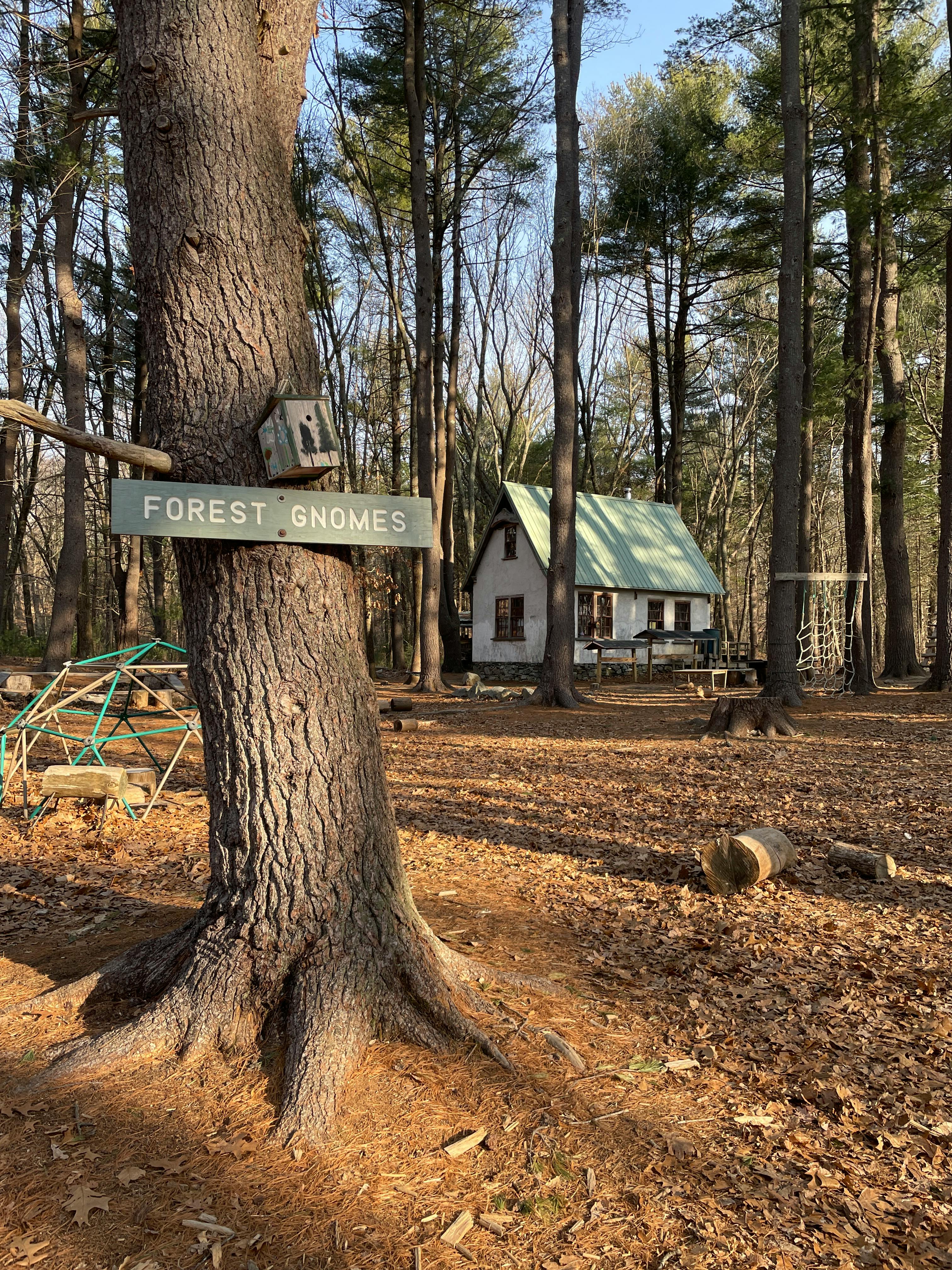 Sign on a tree that reads "FOREST GNOMES" with a house in the background