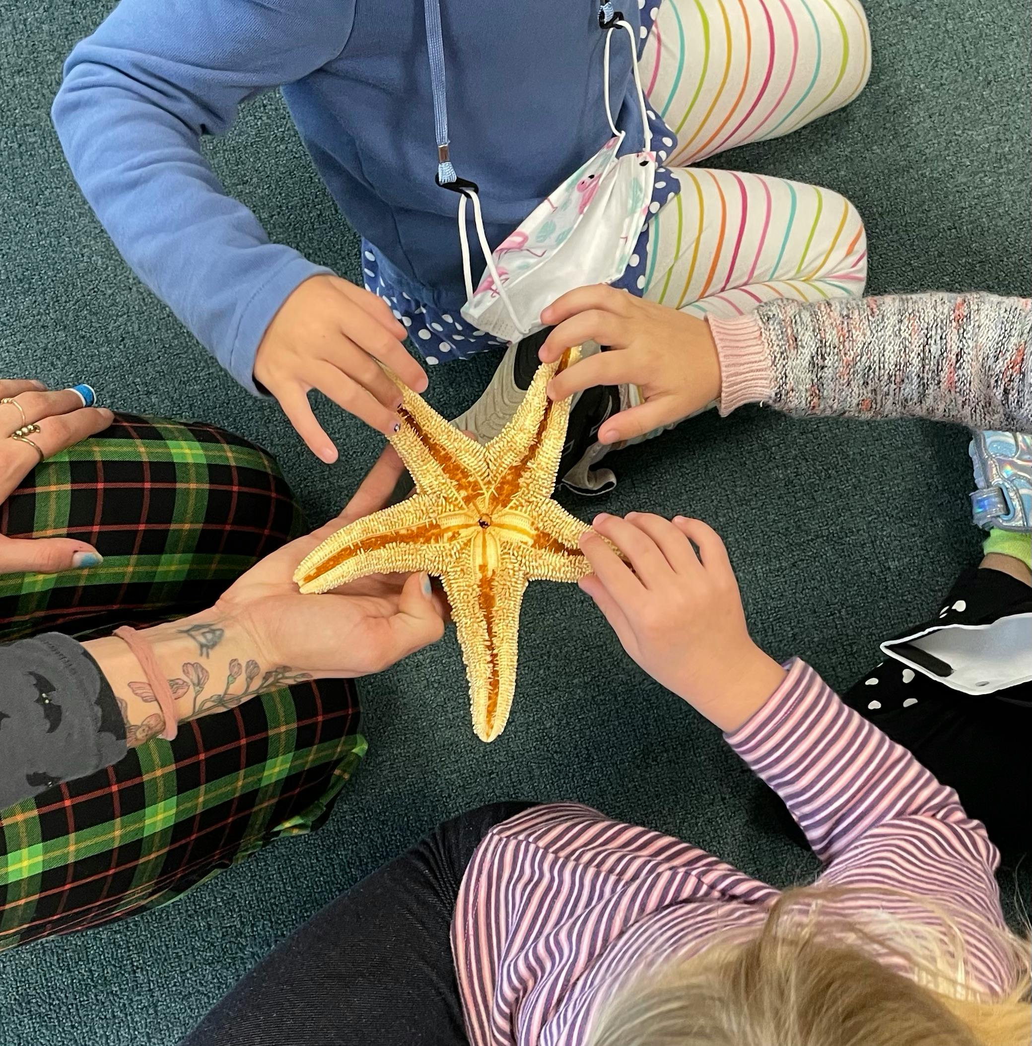 People holding a starfish