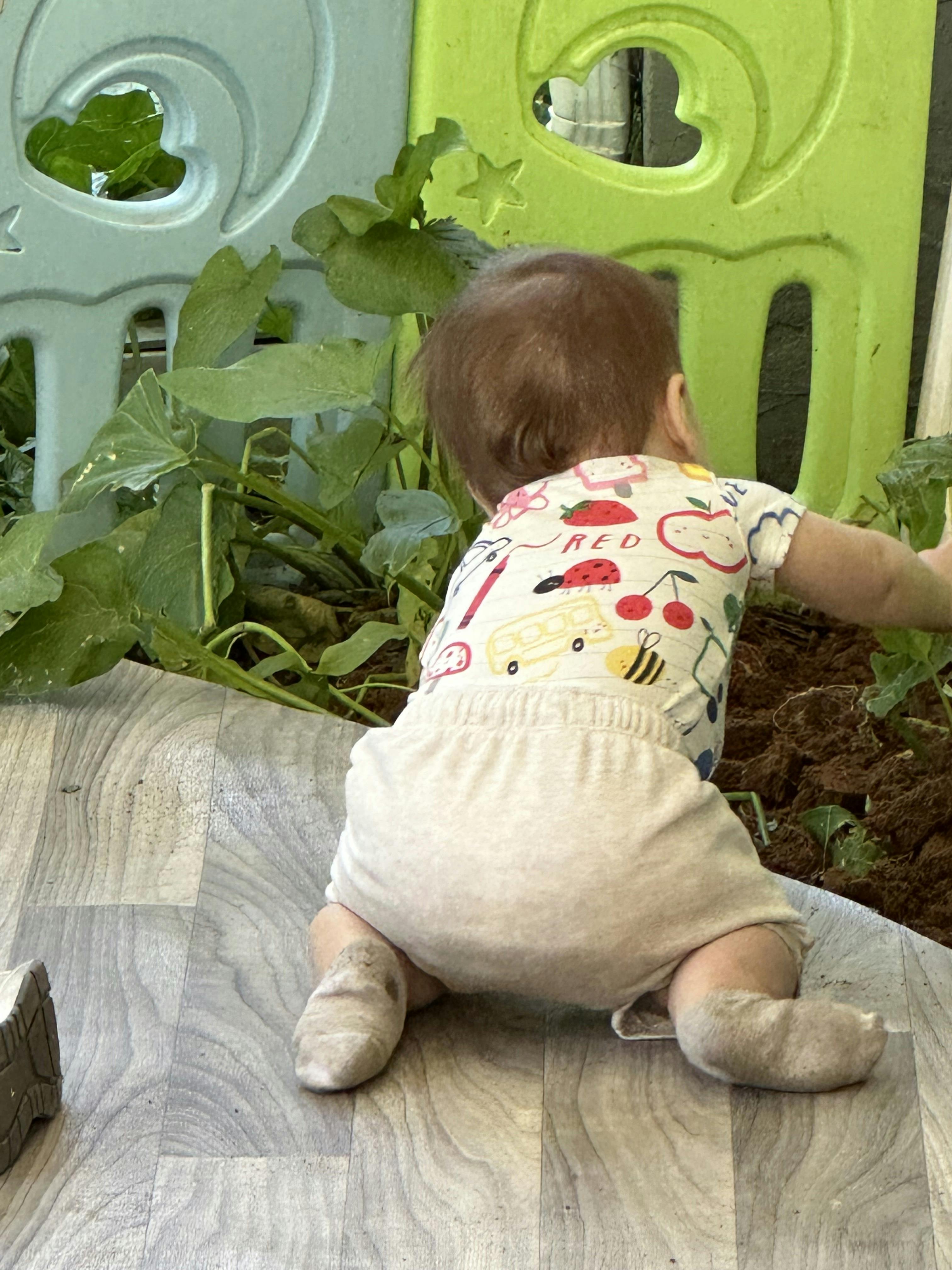 Baby in a onesie crawling toward plants next to a playpen