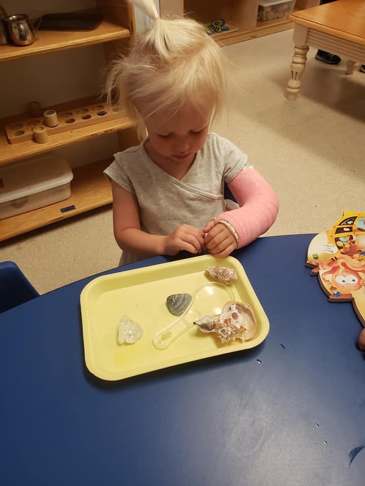 Child with a pink cast on their arm looking at seashells on a tray