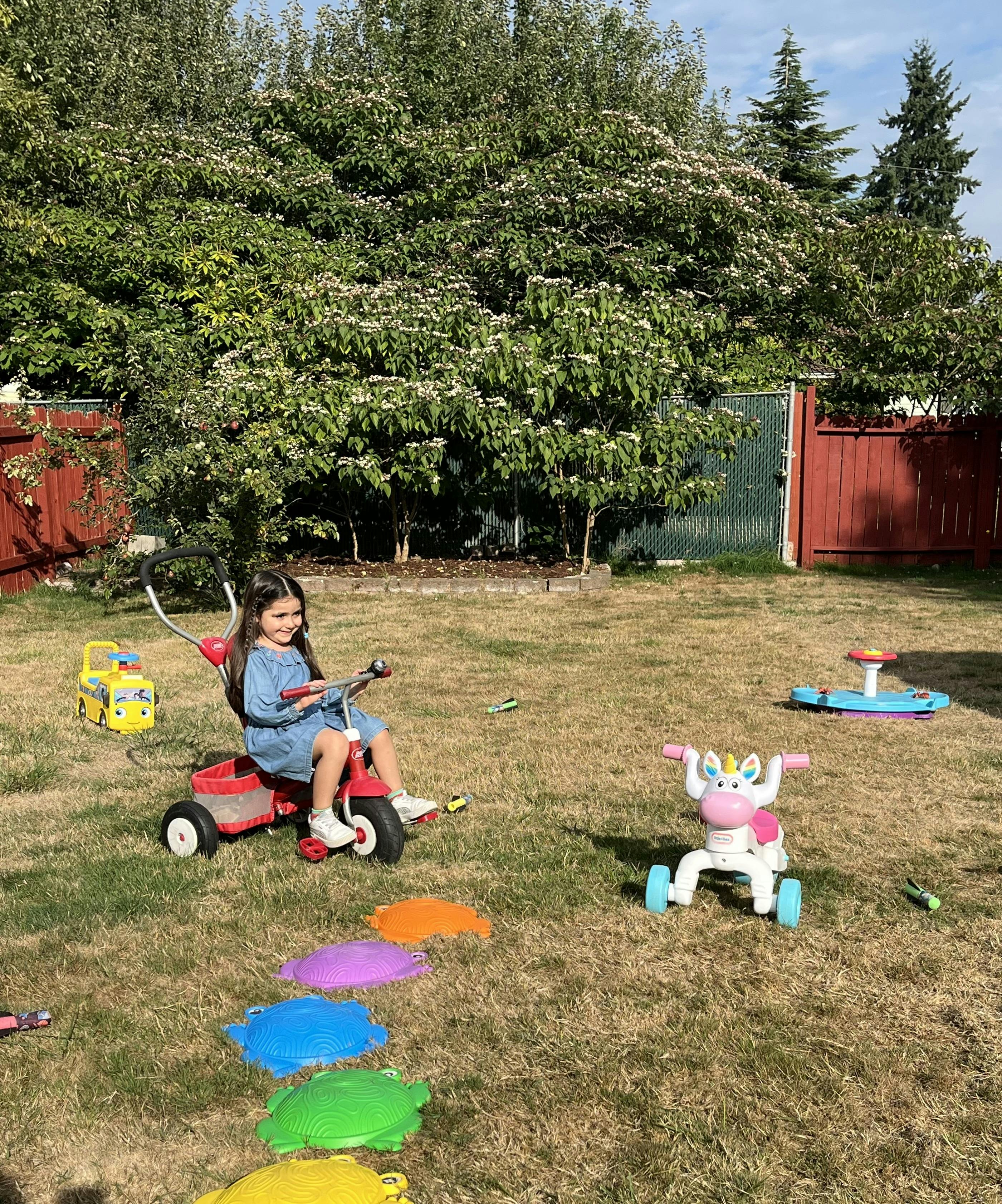 Child on a red tricycle in a grassy yard