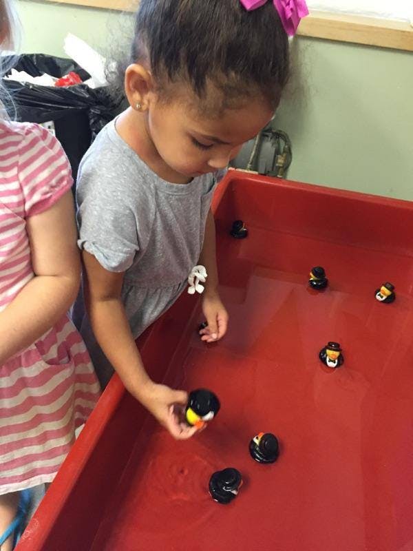Child playing with toy penguins in a red bin