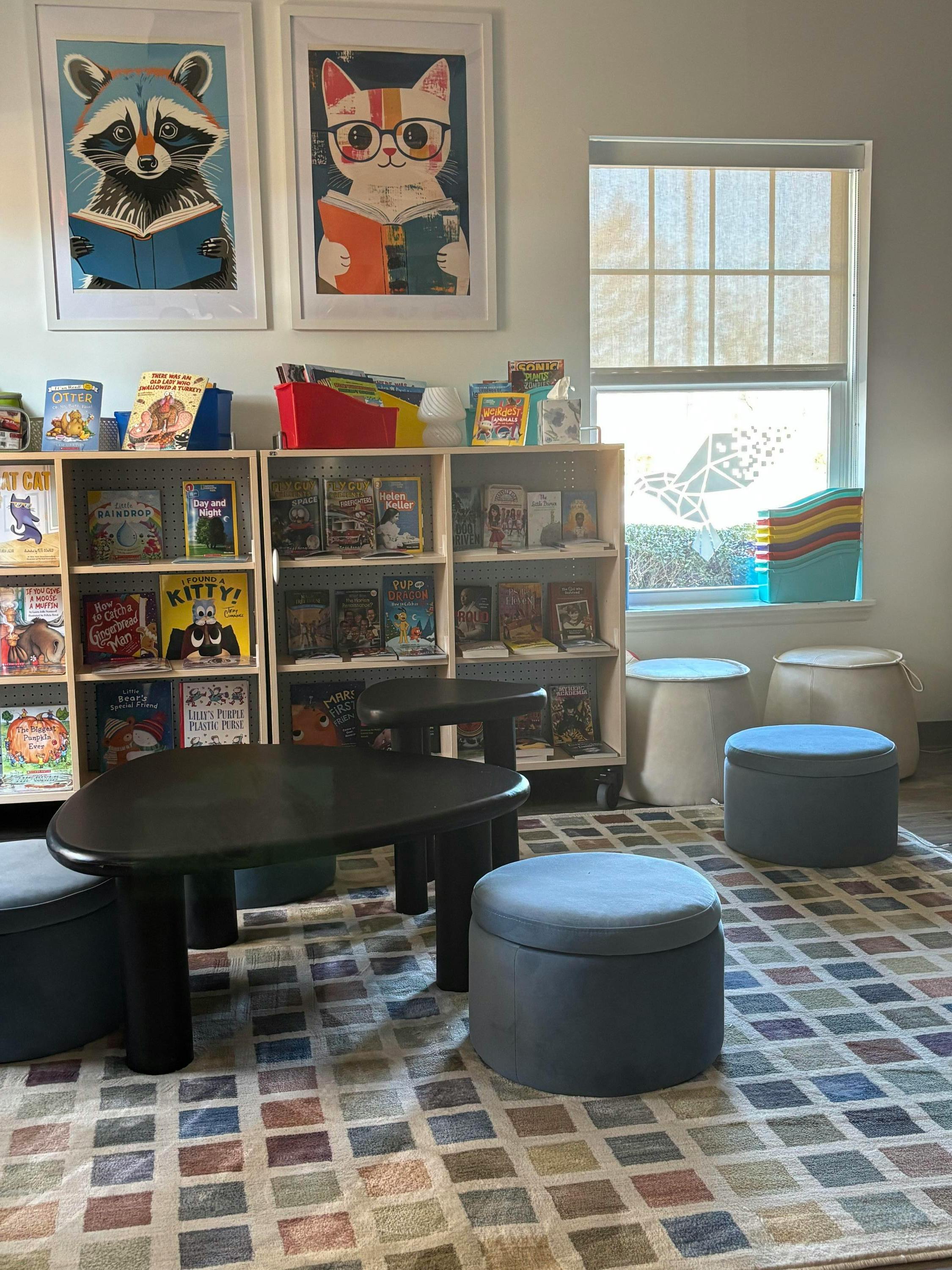 Children's reading nook with bookshelves, window, and patterned rug