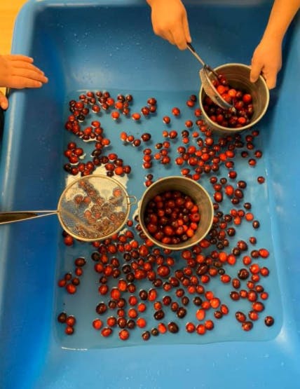 Person using a strainer to scoop red berries from water into a metal cup