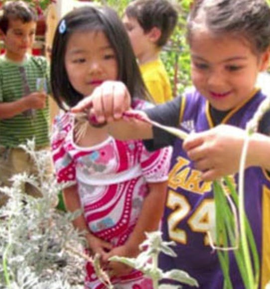 Two children holding and examining plants