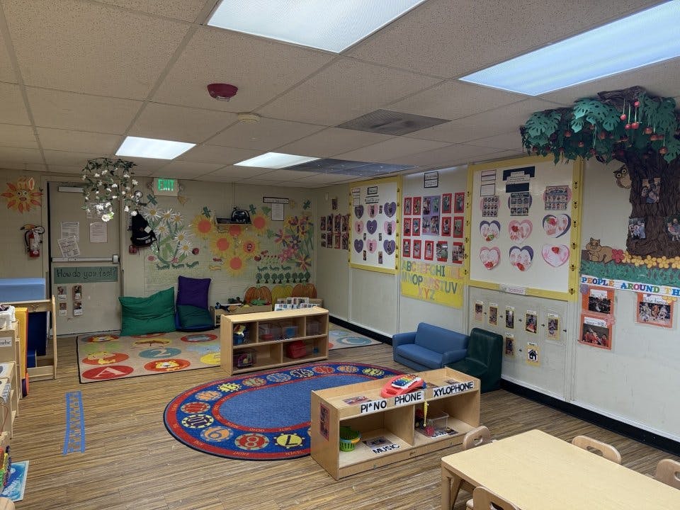 Playroom with colorful rugs, low shelves with toys, small tables, and wall decorations