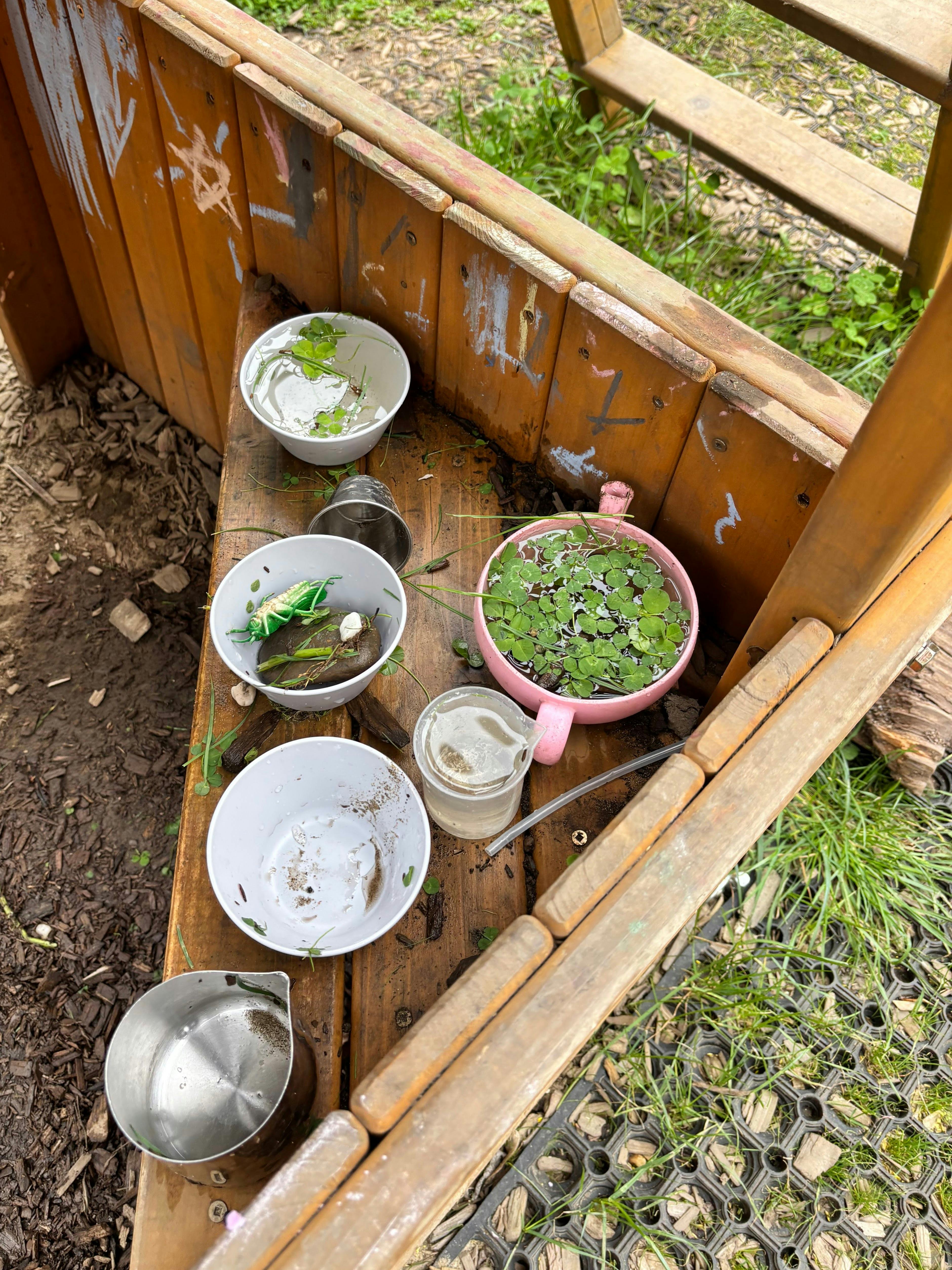 Small bowls and cups filled with water and clover leaves in a wooden play area