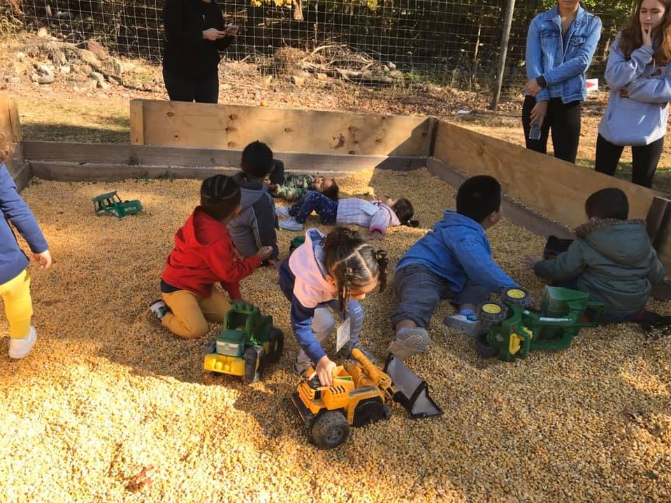 Children playing with toy trucks in a large sandbox
