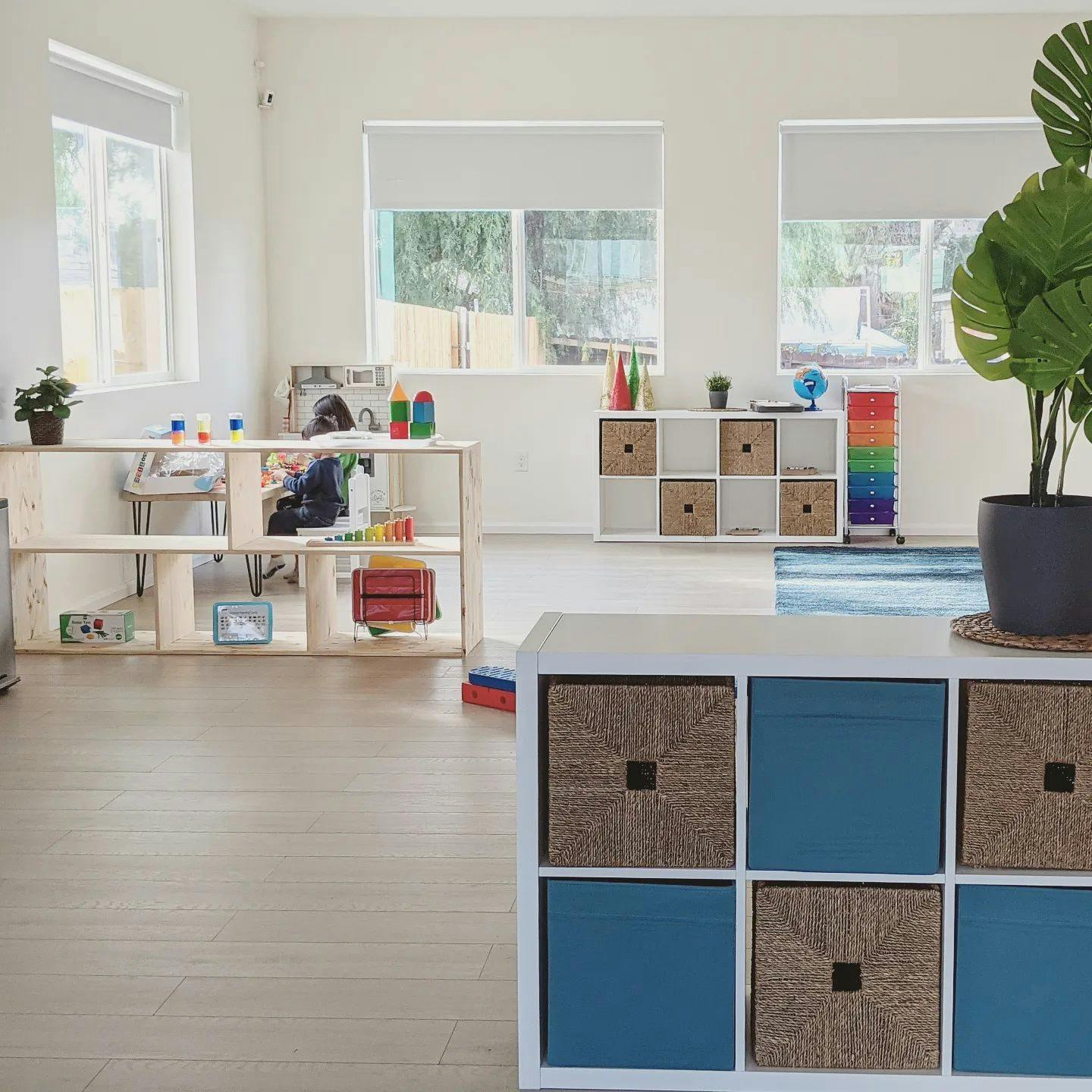 Playroom with storage shelves, toys, and a large plant
