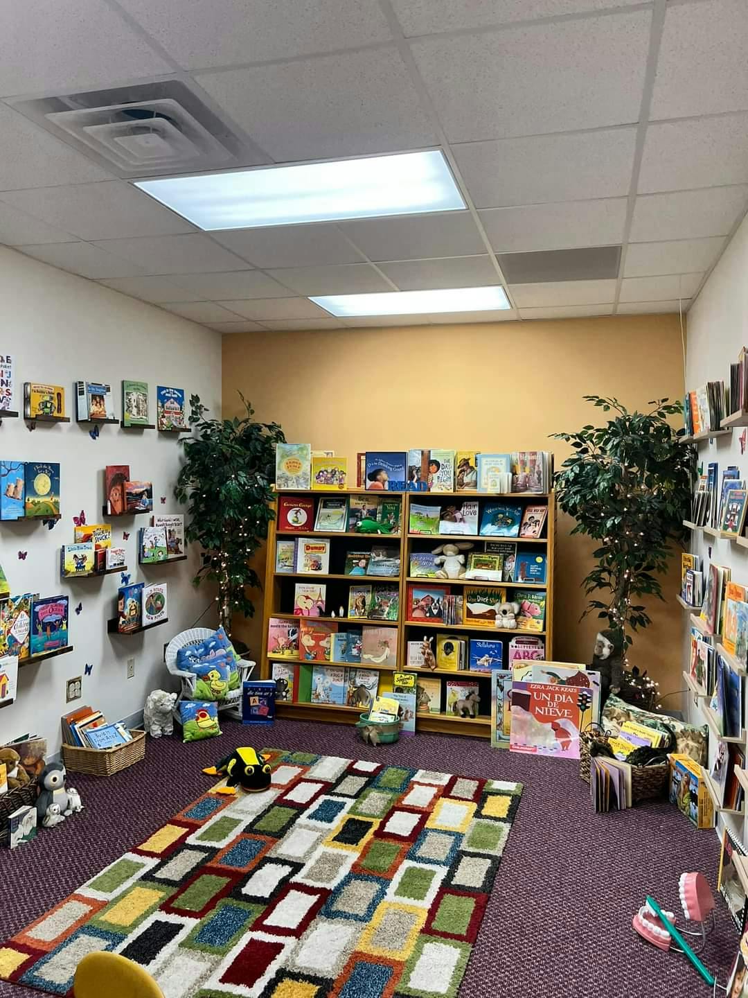 Children's library room with bookshelves, a colorful rug, and plants