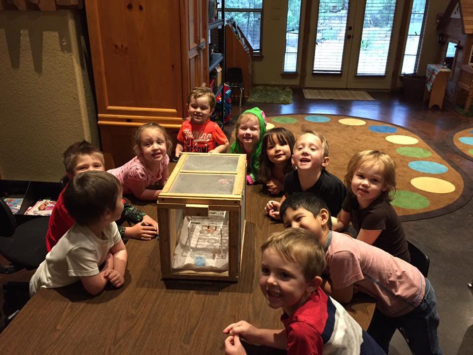 Children gathered around a wooden box on a table