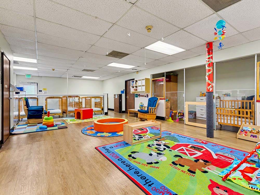 daycare classroom with multiple cribs, rugs with animal patterns, and various toys