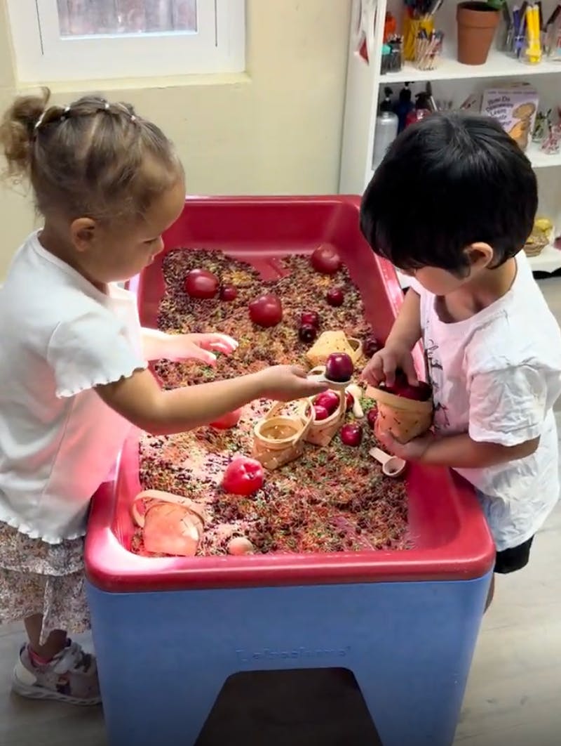 Two children playing with toy fruits in a sensory bin