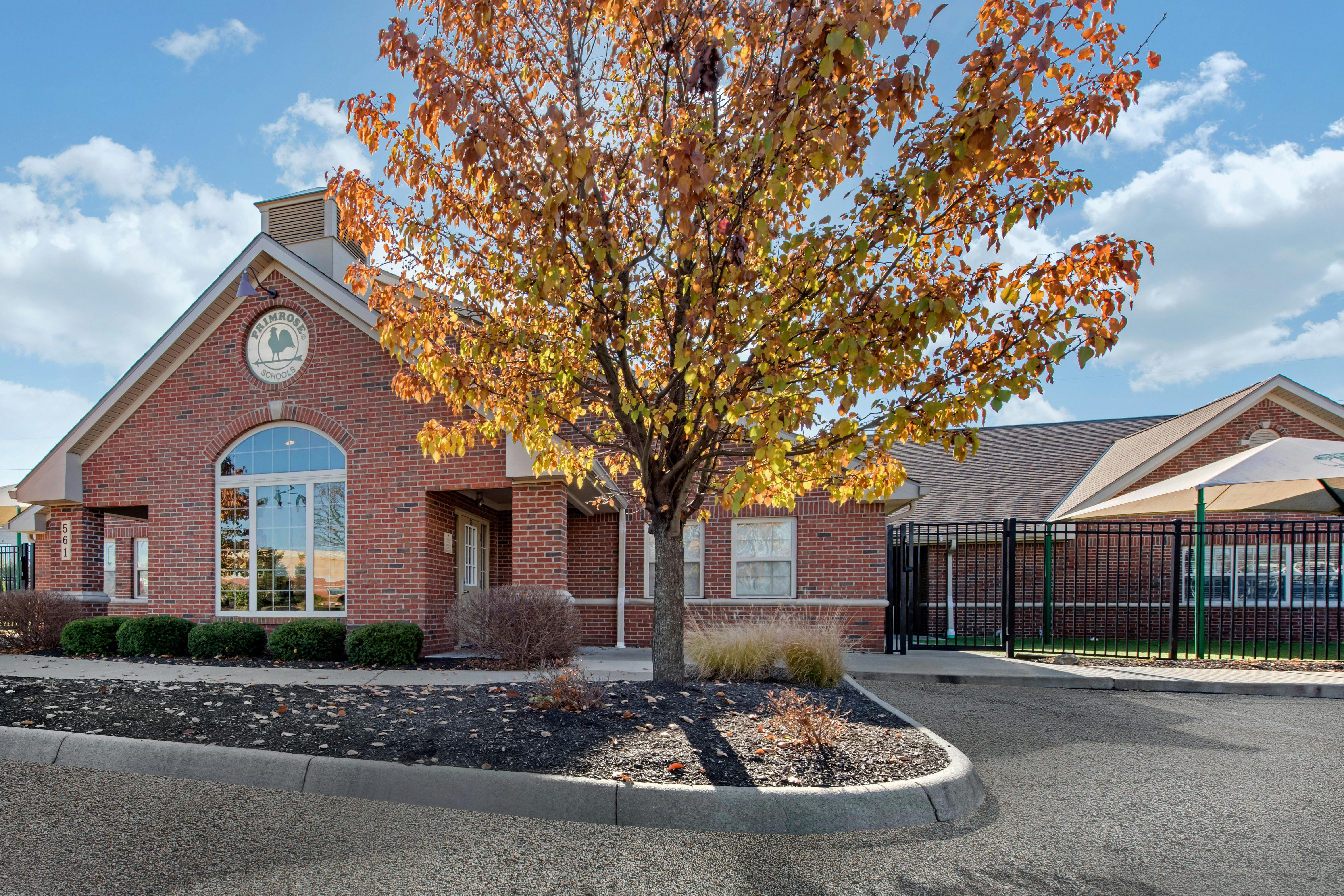 Brick building with a circular Primrose Schools sign, large arched window, and fall tree