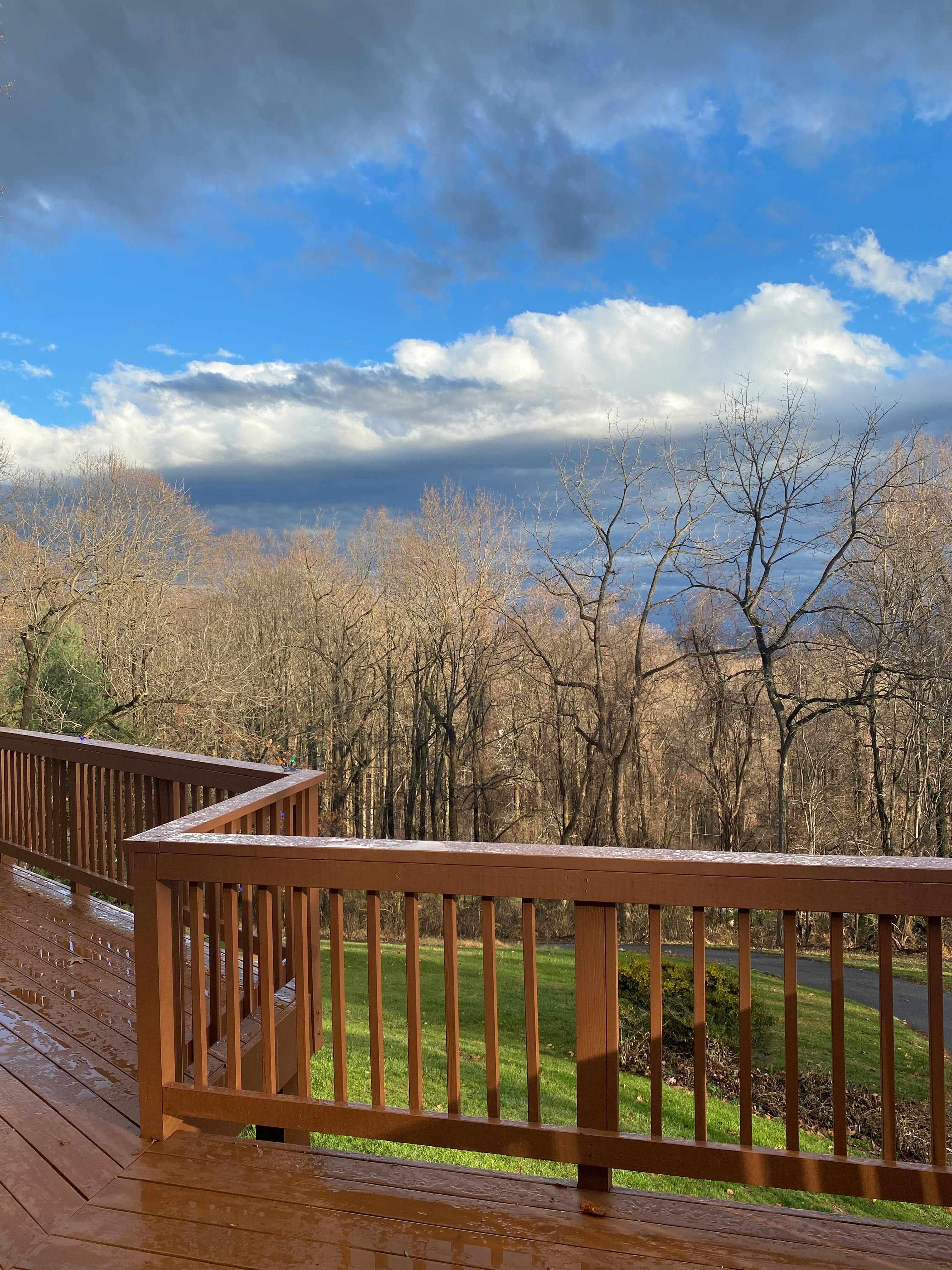 Wooden deck railing overlooking a forest with a cloudy sky