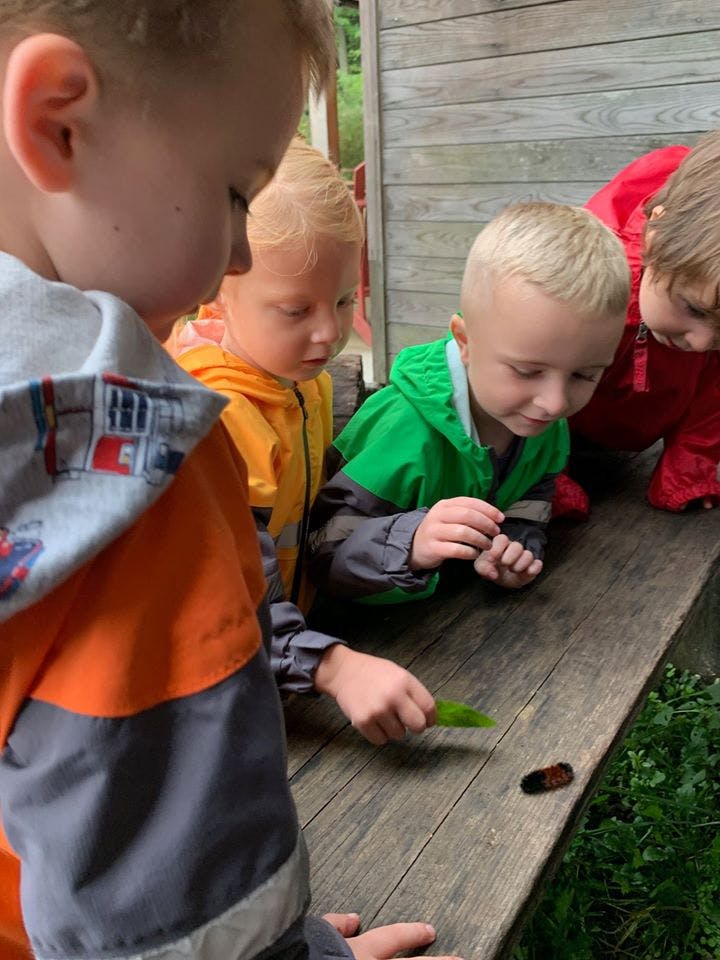 Children looking at an insect on a wooden surface