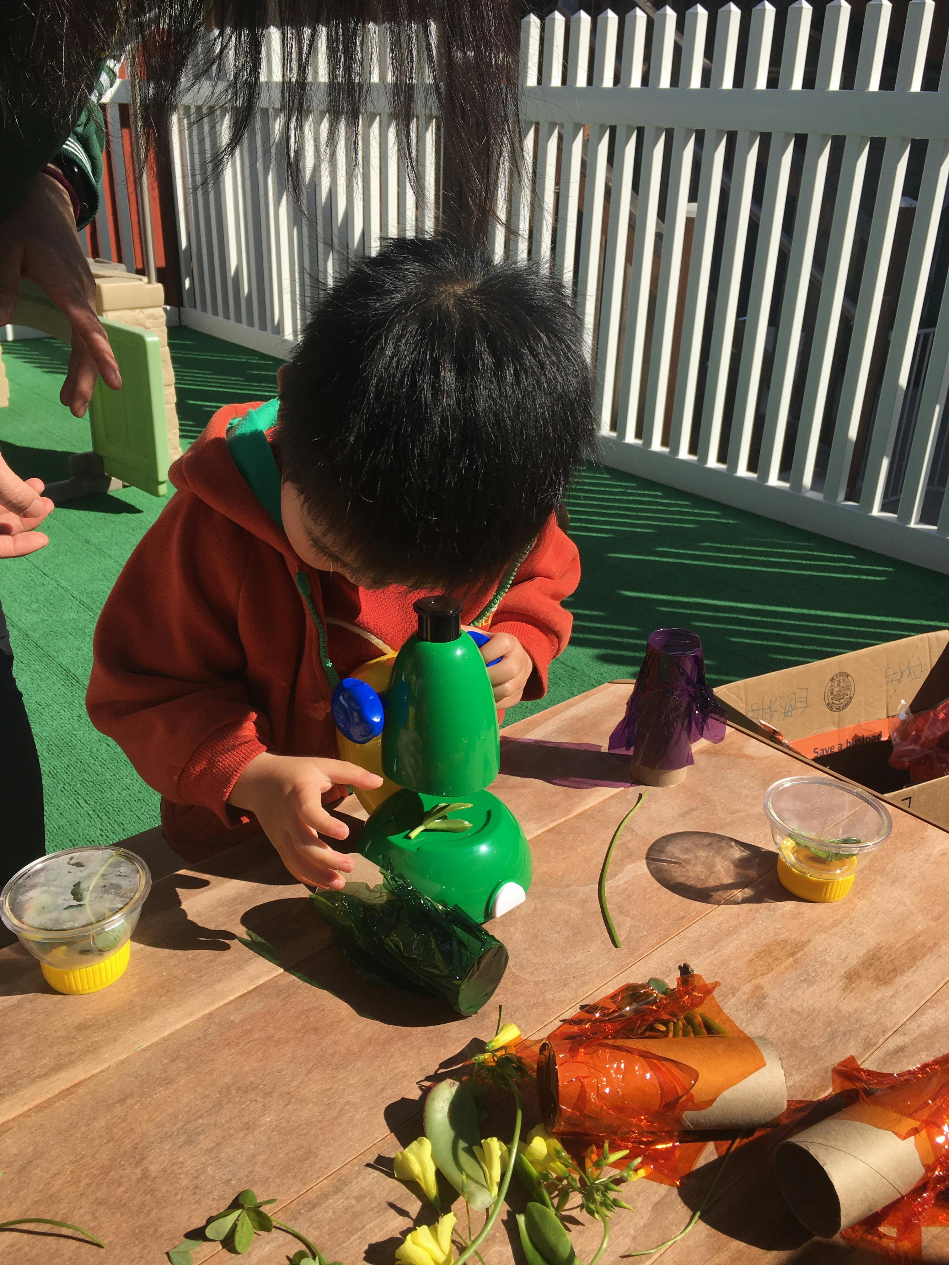 Child looking through a green toy microscope at objects on a wooden table