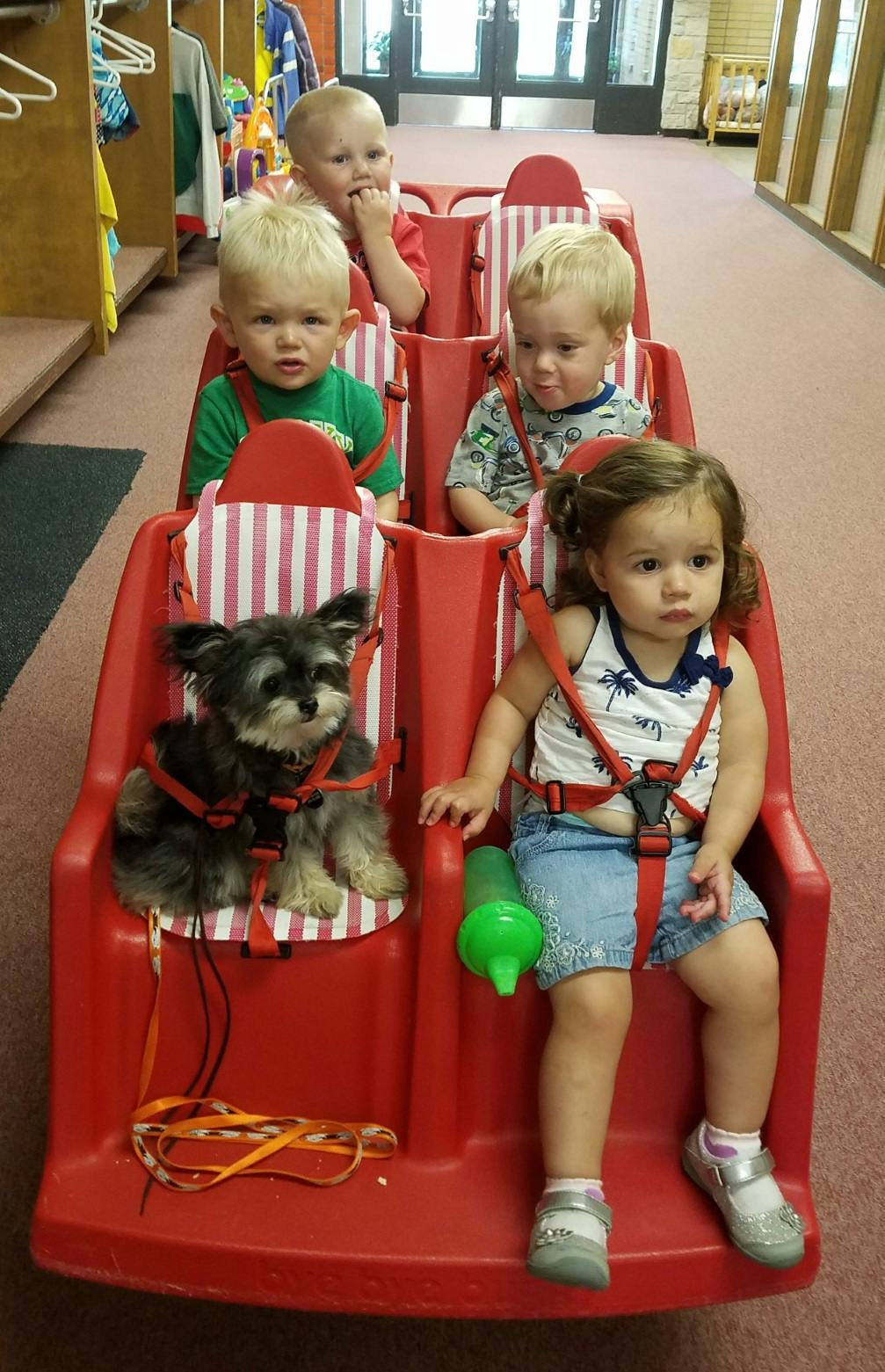 Four children and a small dog in a red multi-seat stroller