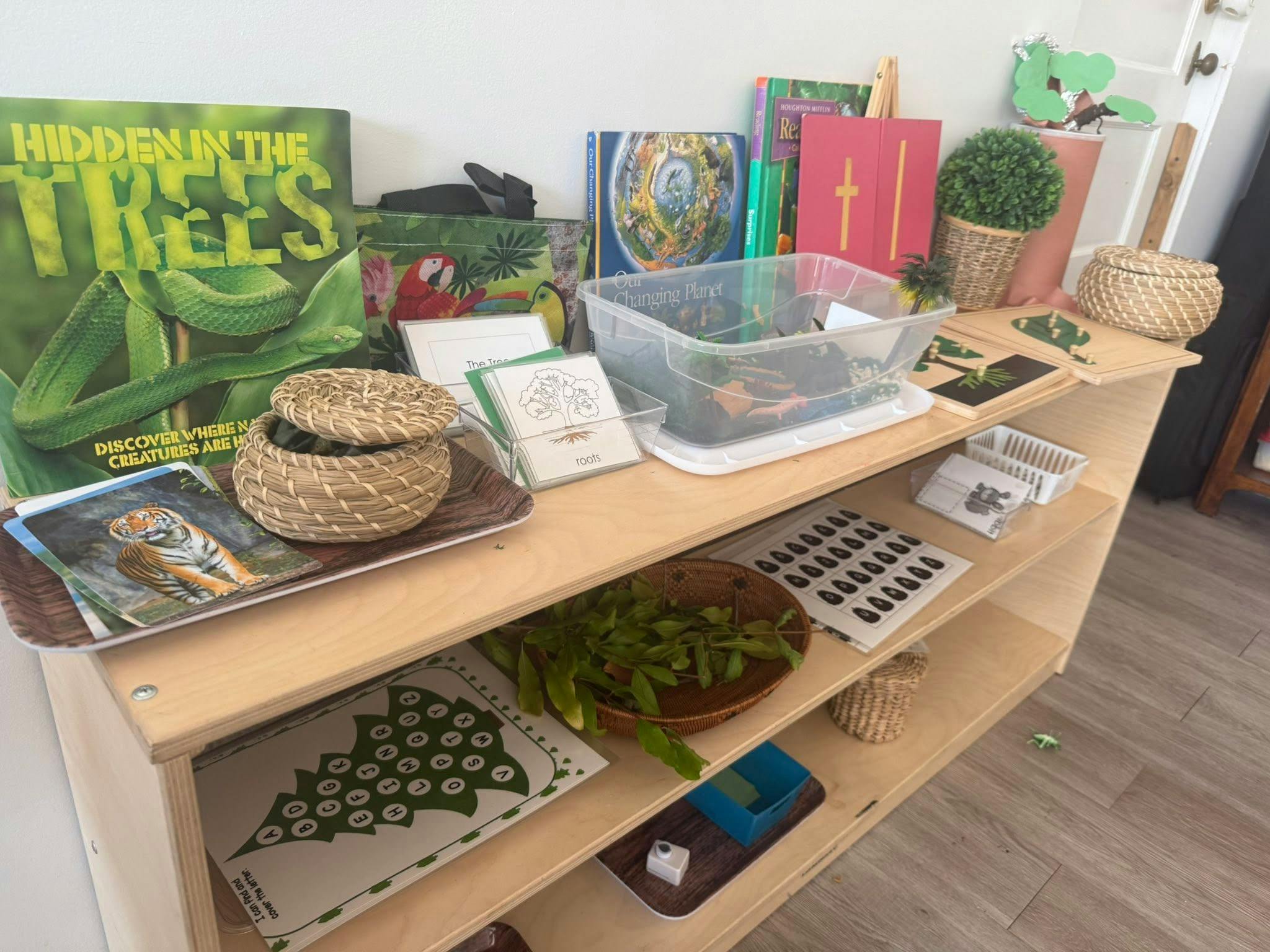 bookshelves with educational books and activities, including a book titled "Hidden in the Trees"