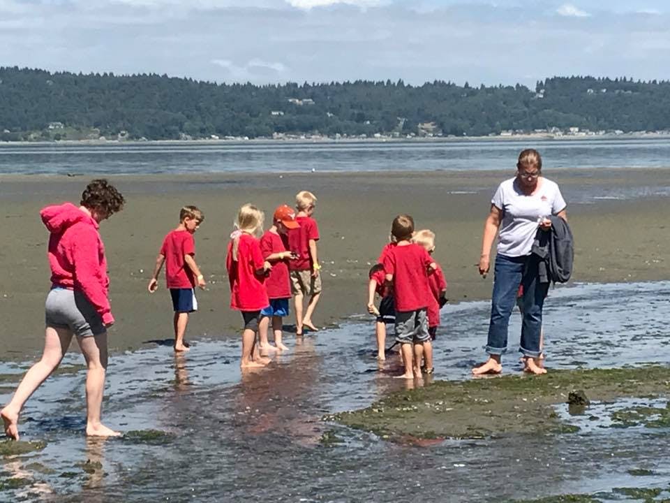People and children walking in shallow water on a beach