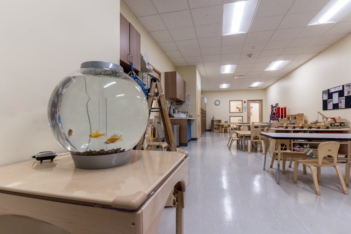 Fishbowl with fish on a table in a classroom