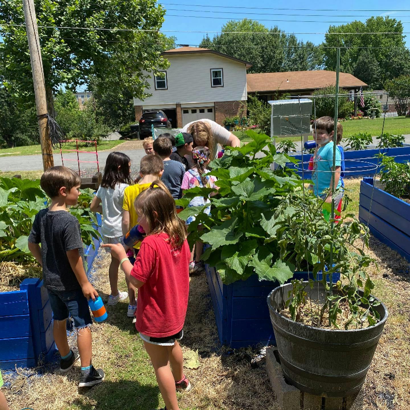 Children and an adult in a garden with raised beds and plants