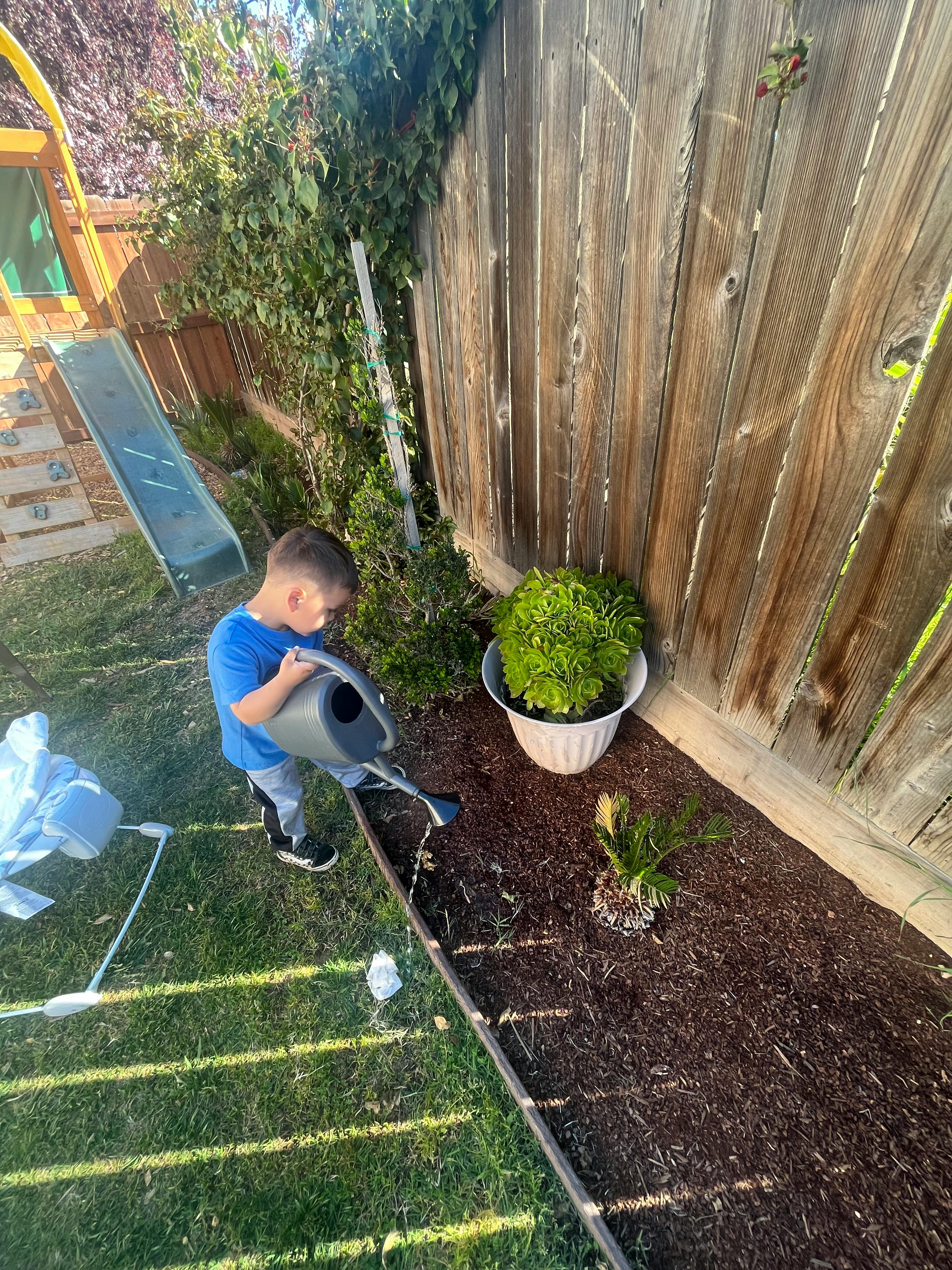 Child watering plants in a garden