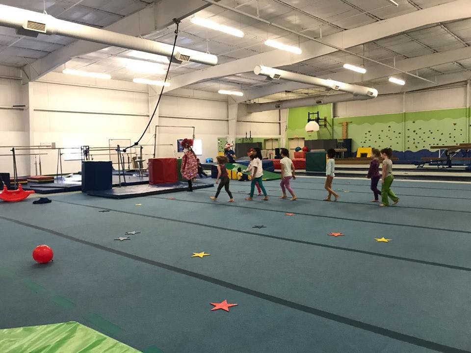 Children walking across a gymnastics floor