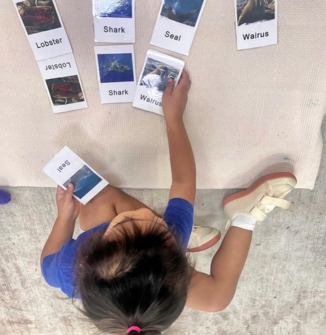 Child matching animal picture cards with text labels