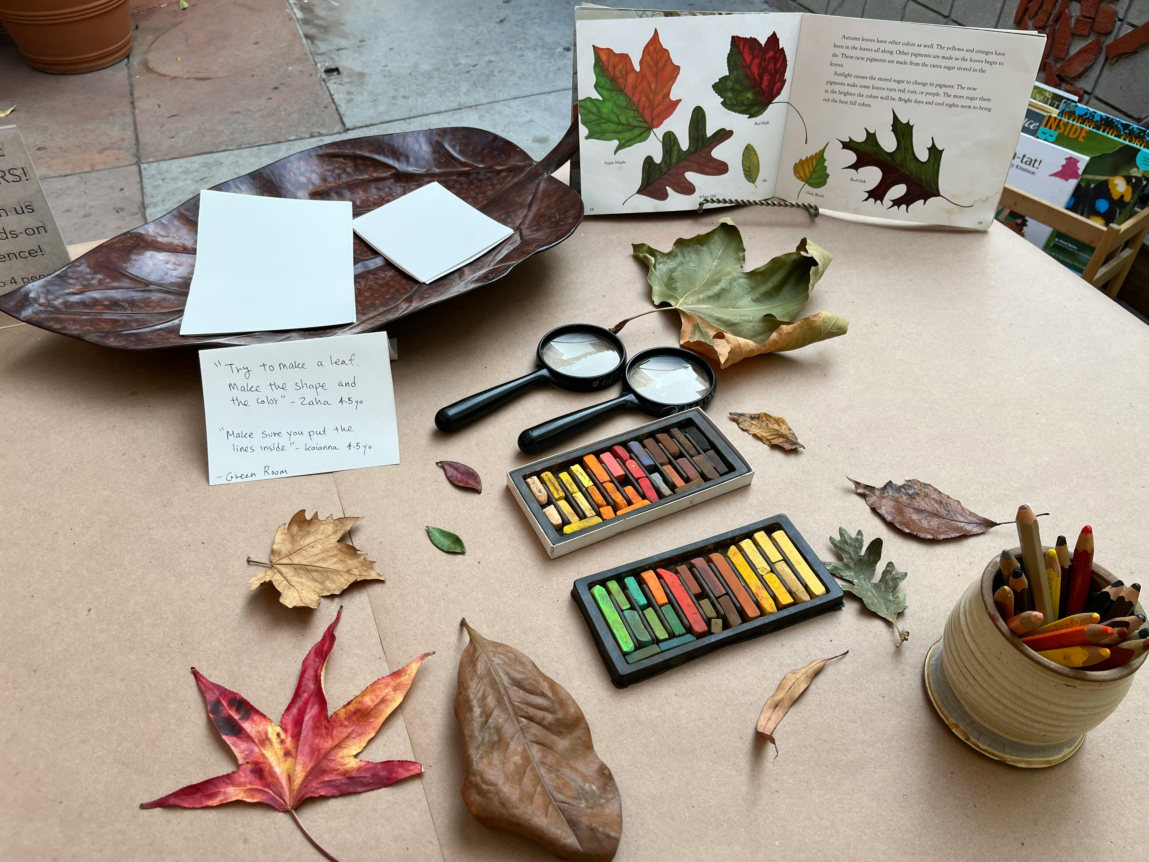 Art supplies and leaves on a table