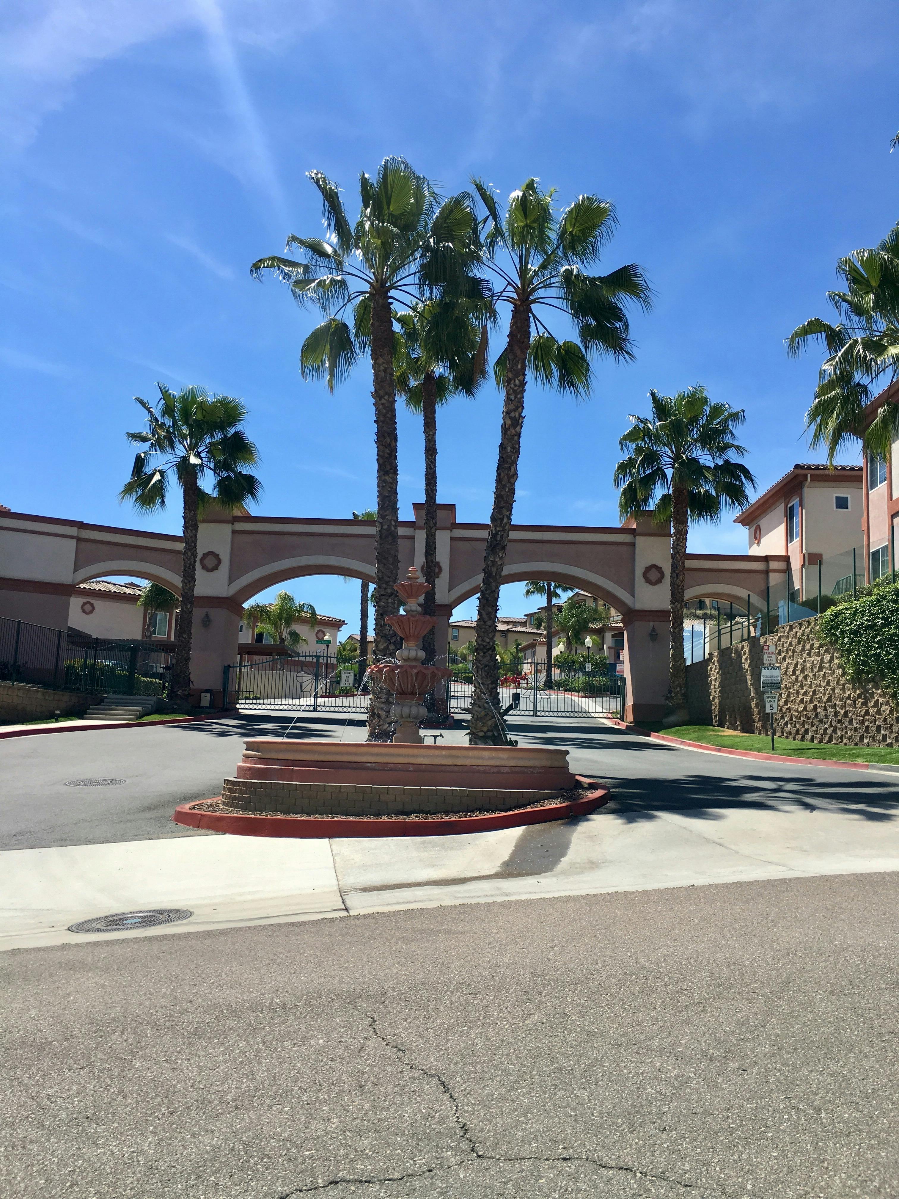 Palm trees and a fountain in front of an arched entryway