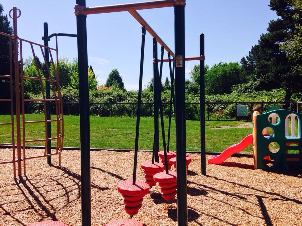 Playground with monkey bars, red disc swings, and a slide