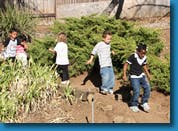 Children playing outdoors near bushes