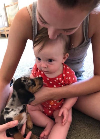 Person holding a child and a puppy