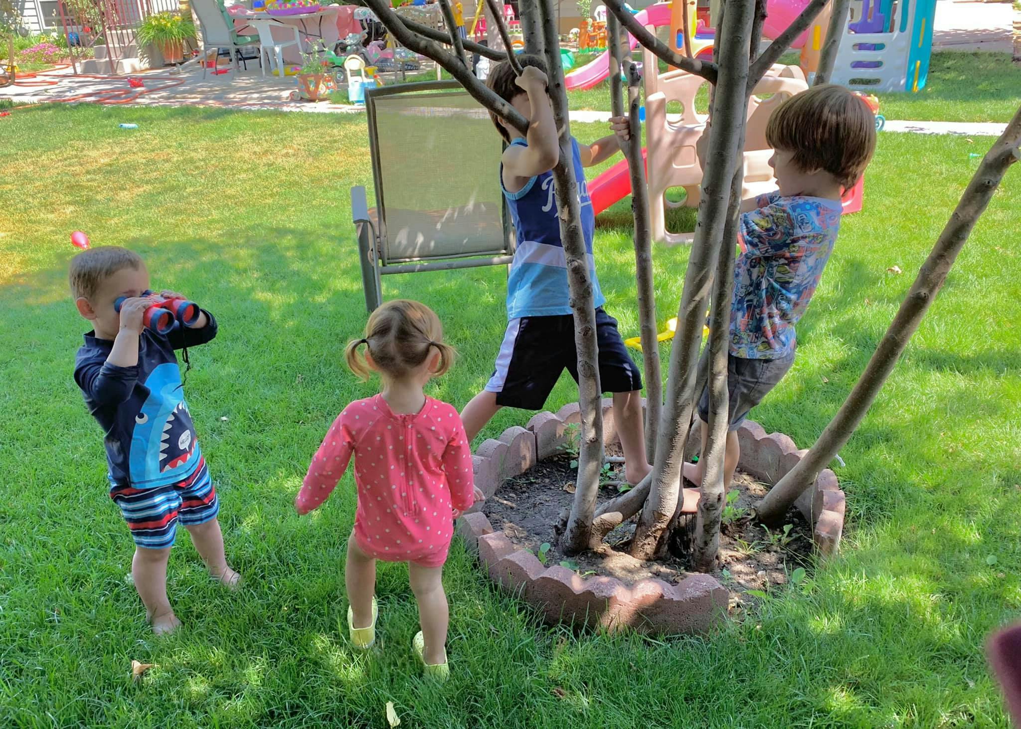 Three children playing outdoors, two climbing a small tree