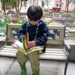 Child sitting on a bench reading a book