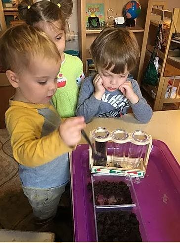 Three children observing a science experiment with soil and tubes