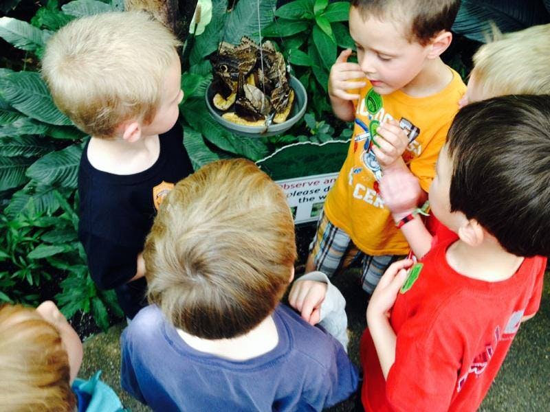 Children gathered around a hanging bird feeder
