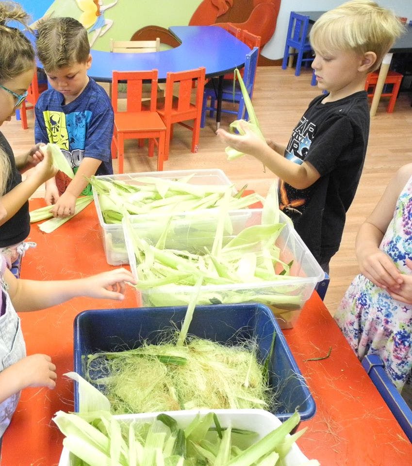 Children shucking corn in a classroom